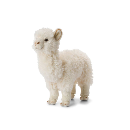 Peluche Alpaca