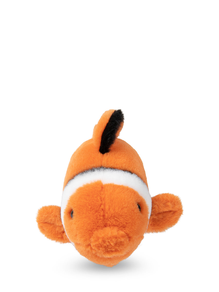 Peluche Pesce Pagliaccio