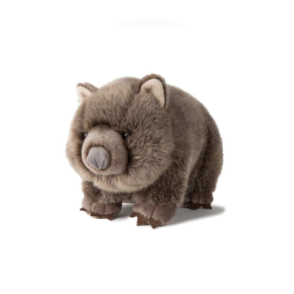 Peluche Wombat