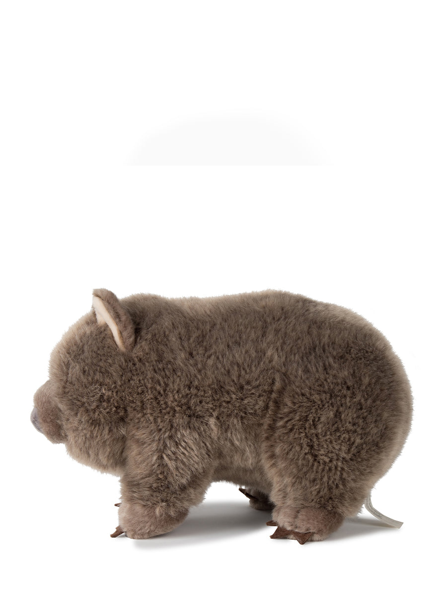 Peluche Wombat